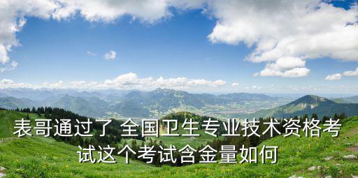 衛生專業技術資格考試，衛生專業技術資格考試
