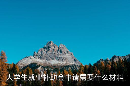 大學生畢業補貼，大學生就業補助金申請需要什么材料