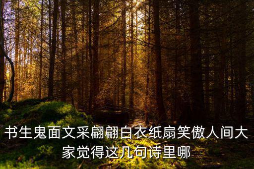 書生鬼面文采翩翩白衣紙扇笑傲人間大家覺得這幾句詩里哪