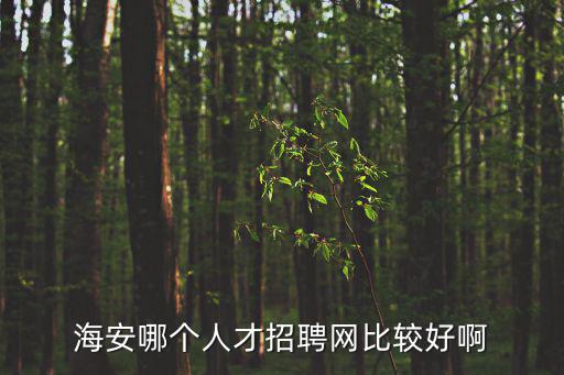 海安哪個人才招聘網比較好啊