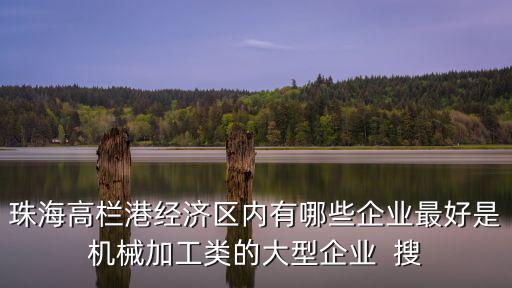 珠海高欄港經濟區內有哪些企業最好是機械加工類的大型企業  搜