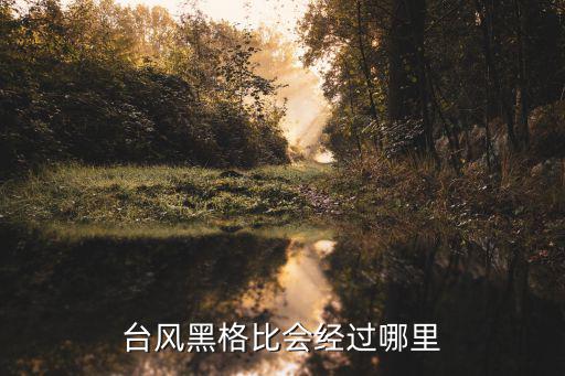 臺風黑格比，黑格比是第幾號強臺風