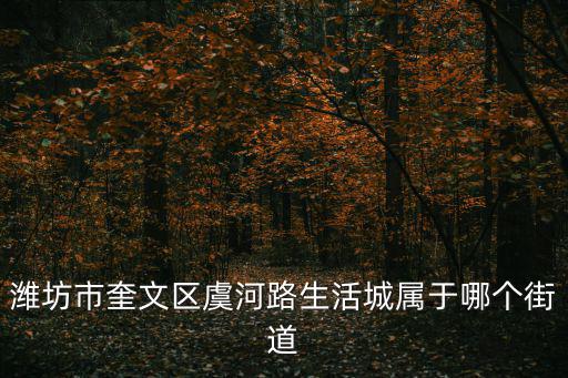 濰坊市奎文區(qū)虞河路生活城屬于哪個(gè)街道