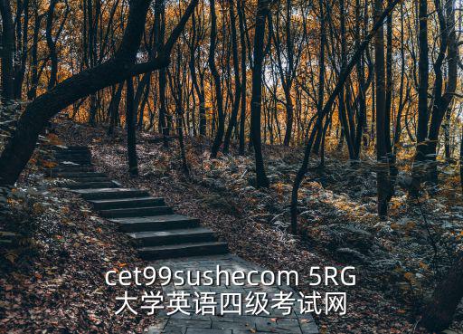 cet99sushecom 5RG大學(xué)英語四級(jí)考試網(wǎng)