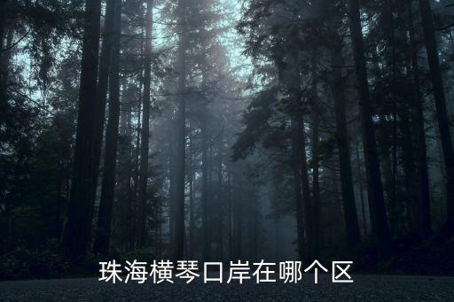 珠海橫琴口岸在哪個區