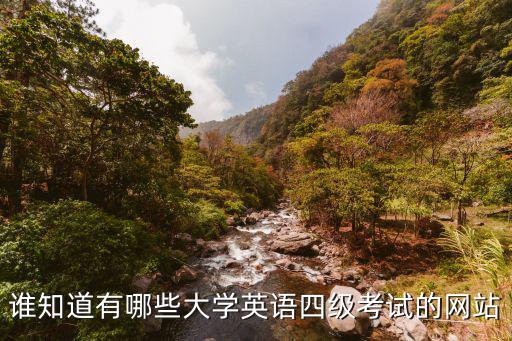 四級網站，英語四級學習網有哪幾個