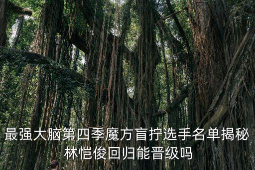 林愷俊，林愷俊出生日期