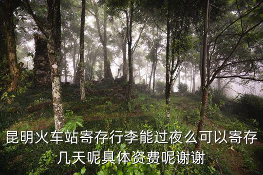 昆明火車站寄存行李能過夜么可以寄存幾天呢具體資費呢謝謝