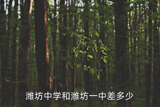濰坊中學和濰坊一中差多少