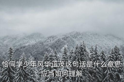 恰同學少年風華正茂這句話是什么意思應當如何理解