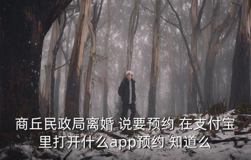 商丘民政局離婚 說要預約 在支付寶里打開什么app預約 知道么