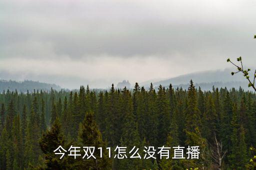 雙十一直播，天貓雙11實(shí)時(shí)銷售數(shù)據(jù)直播