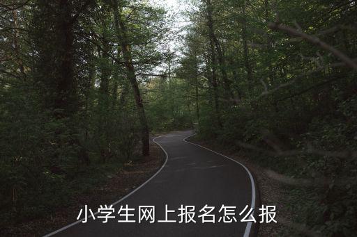 小學生網上報名怎么報