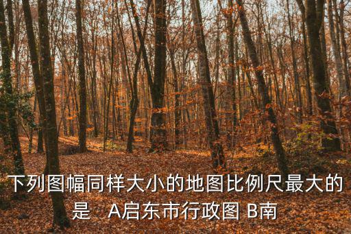 下列圖幅同樣大小的地圖比例尺最大的是   A啟東市行政圖 B南