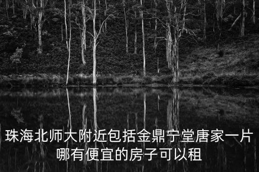 珠海北師大附近包括金鼎寧堂唐家一片哪有便宜的房子可以租