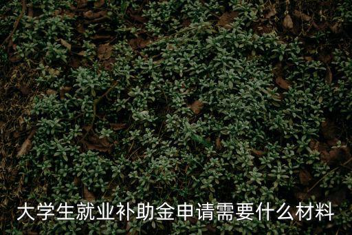 大學生就業補助金申請需要什么材料