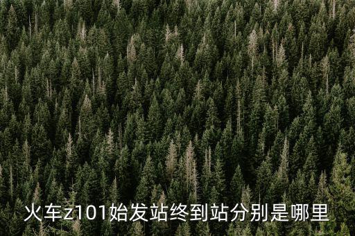 火車z101始發(fā)站終到站分別是哪里
