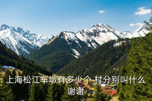 上海松江車墩有多少個 村分別叫什么謝謝