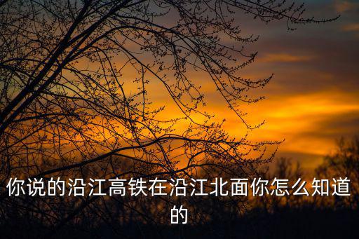 你說的沿江高鐵在沿江北面你怎么知道的