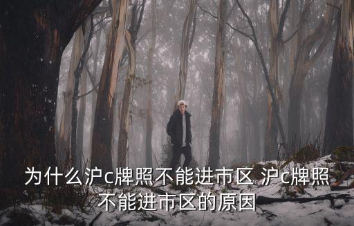 滬c不能進市區的原因，上海滬C為何進不了市區我是指滬C在其他方面比普通牌照有什么