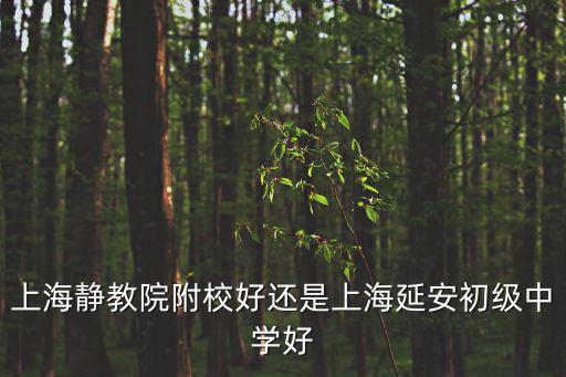 靜教院，上海靜教院附校好還是上海延安初級中學好