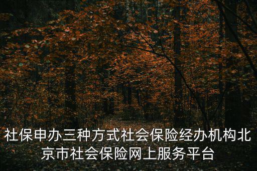 社保申辦三種方式社會保險經辦機構北京市社會保險網上服務平臺