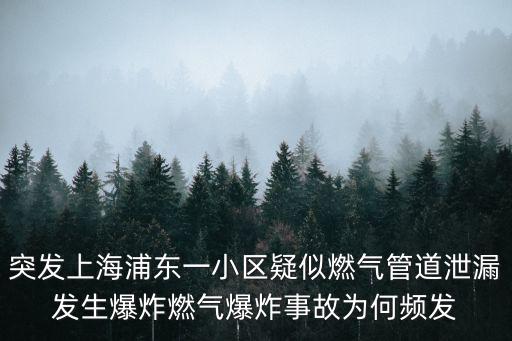 突發(fā)上海浦東一小區(qū)疑似燃?xì)夤艿佬孤┌l(fā)生爆炸燃?xì)獗ㄊ鹿蕿楹晤l發(fā)