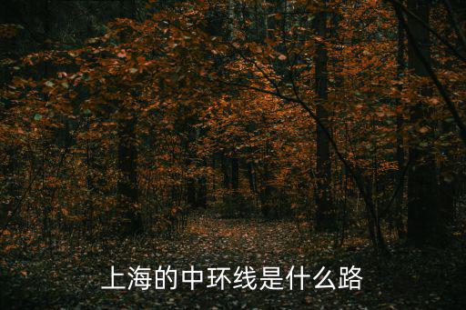 上海的中環線是什么路