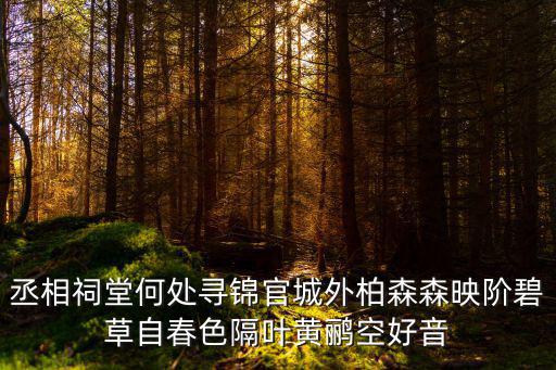 丞相祠堂何處尋錦官城外柏森森映階碧草自春色隔葉黃鸝空好音