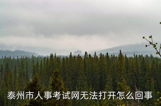 泰州市人事考試網無法打開怎么回事