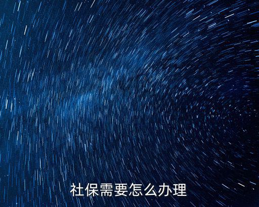 辦社保，如何辦理社保