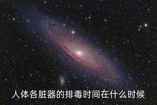 人體各臟器的排毒時間在什么時候