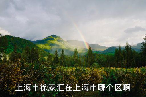 上海市徐家匯在上海市哪個區啊