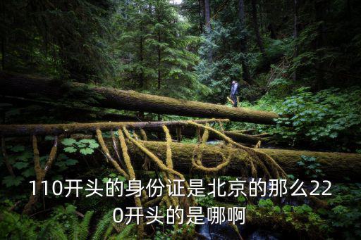 110開頭的身份證是北京的那么220開頭的是哪啊