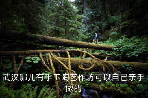 陶藝手工坊，請問各位大哥大姐本人想開個手繪陶藝坊但不知道需要些什么