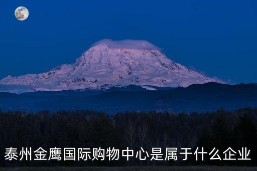 泰州金鷹，泰州金鷹國際購物中心是屬于什么企業