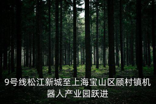 上海機器人產業園，想知道 上海市 上海未來伙伴機器人有限公司 在哪里