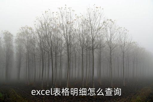 excel表格明細怎么查詢