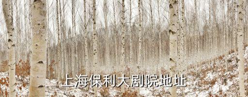 上海保利劇院，保利劇院在哪