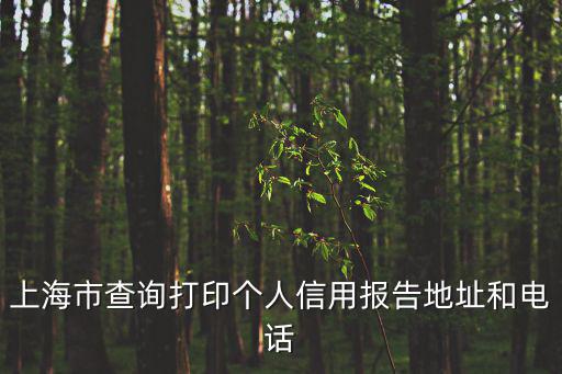 上海市查詢(xún)打印個(gè)人信用報(bào)告地址和電話(huà)