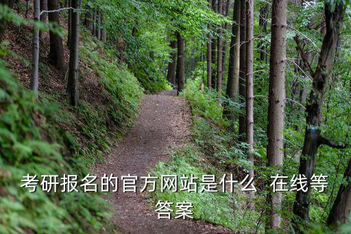 考研報名的官方網(wǎng)站是什么  在線等答案