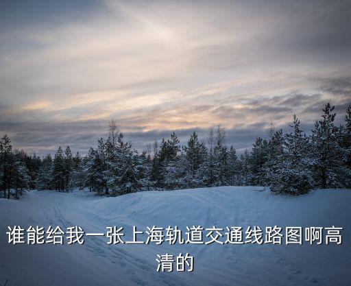 誰能給我一張上海軌道交通線路圖啊高清的