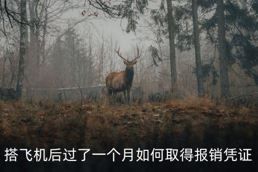 搭飛機后過了一個月如何取得報銷憑證