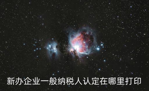 新辦企業(yè)一般納稅人認(rèn)定在哪里打印