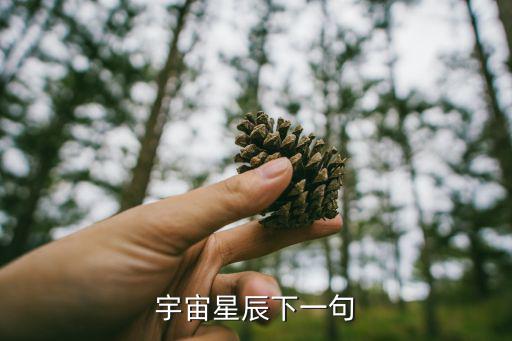 宇宙星辰下一句