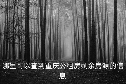 哪里可以查到重慶公租房剩余房源的信息