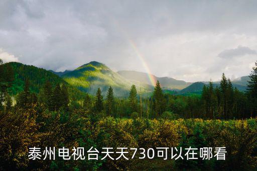 泰州電視臺天天730可以在哪看