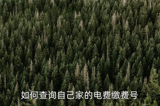 如何查詢自己家的電費繳費號
