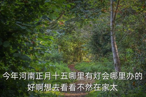 今年河南正月十五哪里有燈會哪里辦的好啊想去看看不然在家太