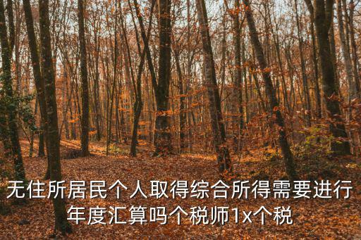 無住所居民個人取得綜合所得需要進行年度匯算嗎個稅師1x個稅